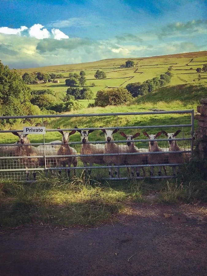 Dalesmoor Villa Reeth Holiday home